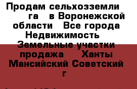 Продам сельхозземли ( 6 000 га ) в Воронежской области - Все города Недвижимость » Земельные участки продажа   . Ханты-Мансийский,Советский г.